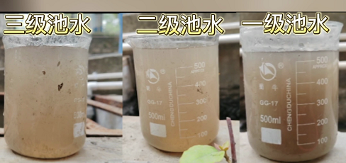 三级沉淀池水质对比